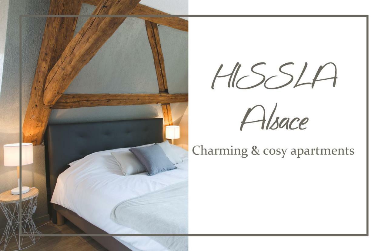 Villa Hissla Alsace Chic& Cosy Barr Wine Route Extérieur photo